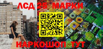 винт Анапа