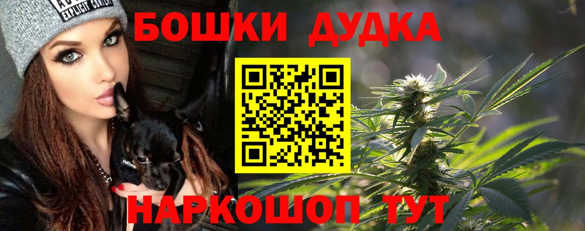Каннабис сатива Глазов